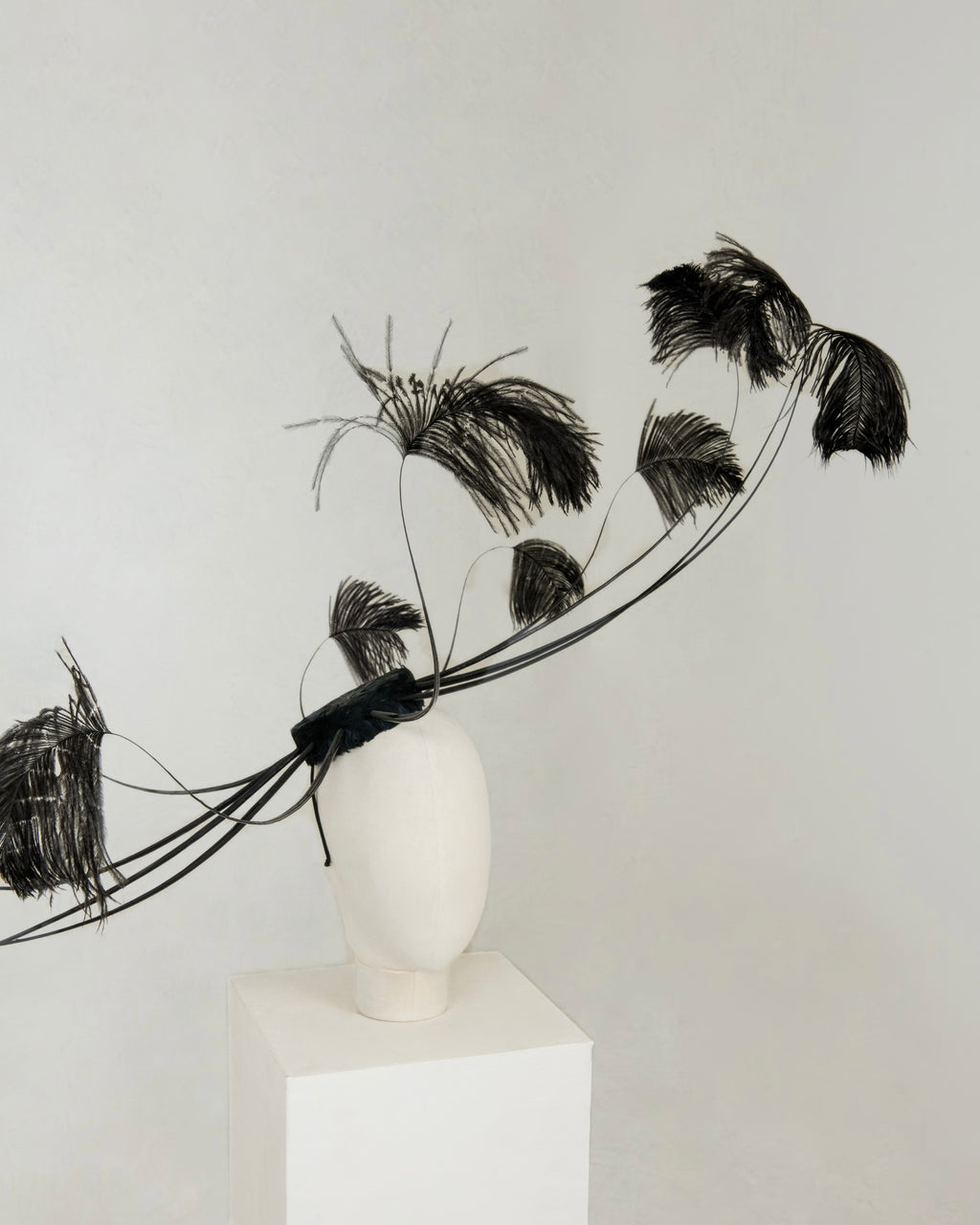 Savage by Boni feather couture hat in black back view